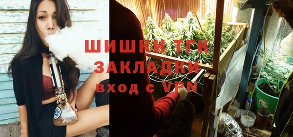 прущие грибы Иноземцево