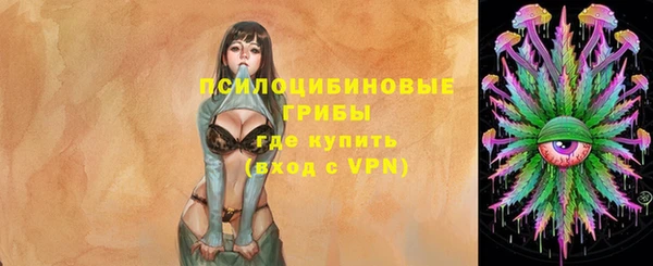 ECSTASY Мегион