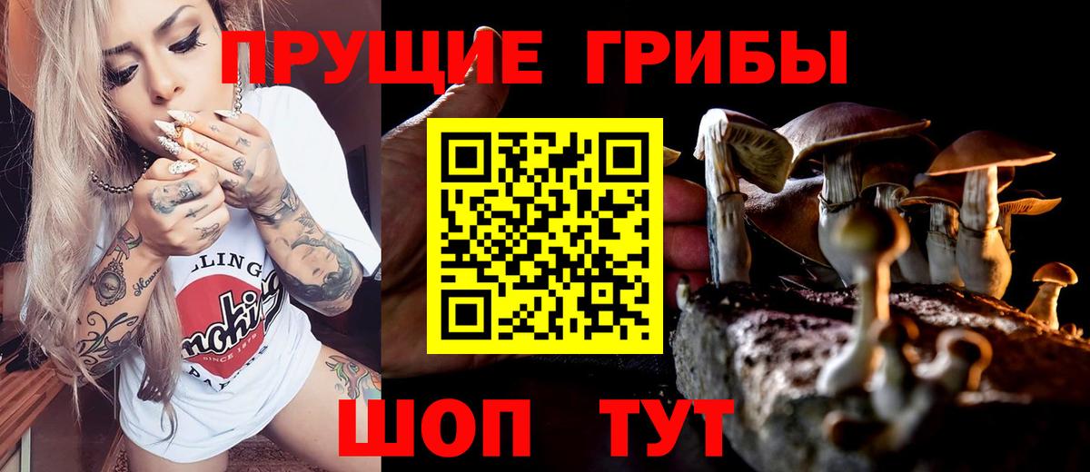 Галлюциногенные грибы Psilocybe  Вход с VPN  Кисловодск  Галлюциногенные грибы мицелий 